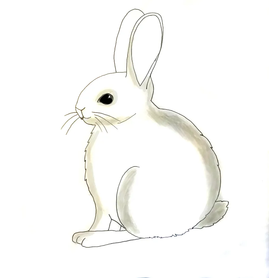 Kaninchen ausmalen Filzstift Schritt 1
