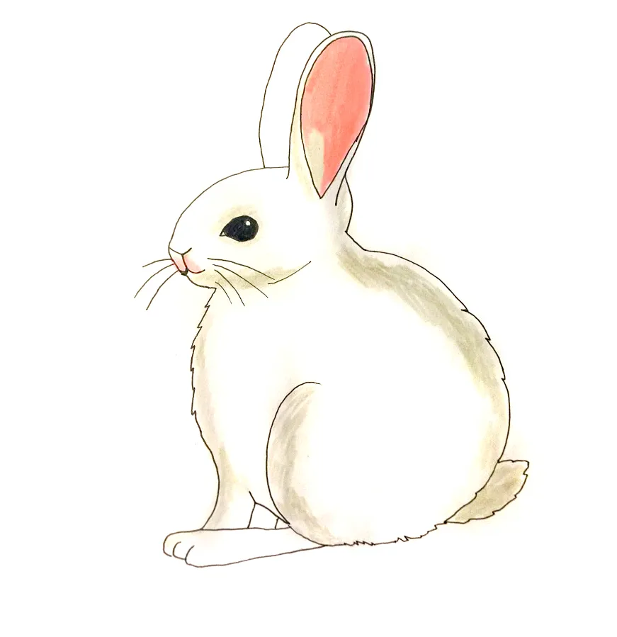 Kaninchen ausmalen Filzstift Schritt 2