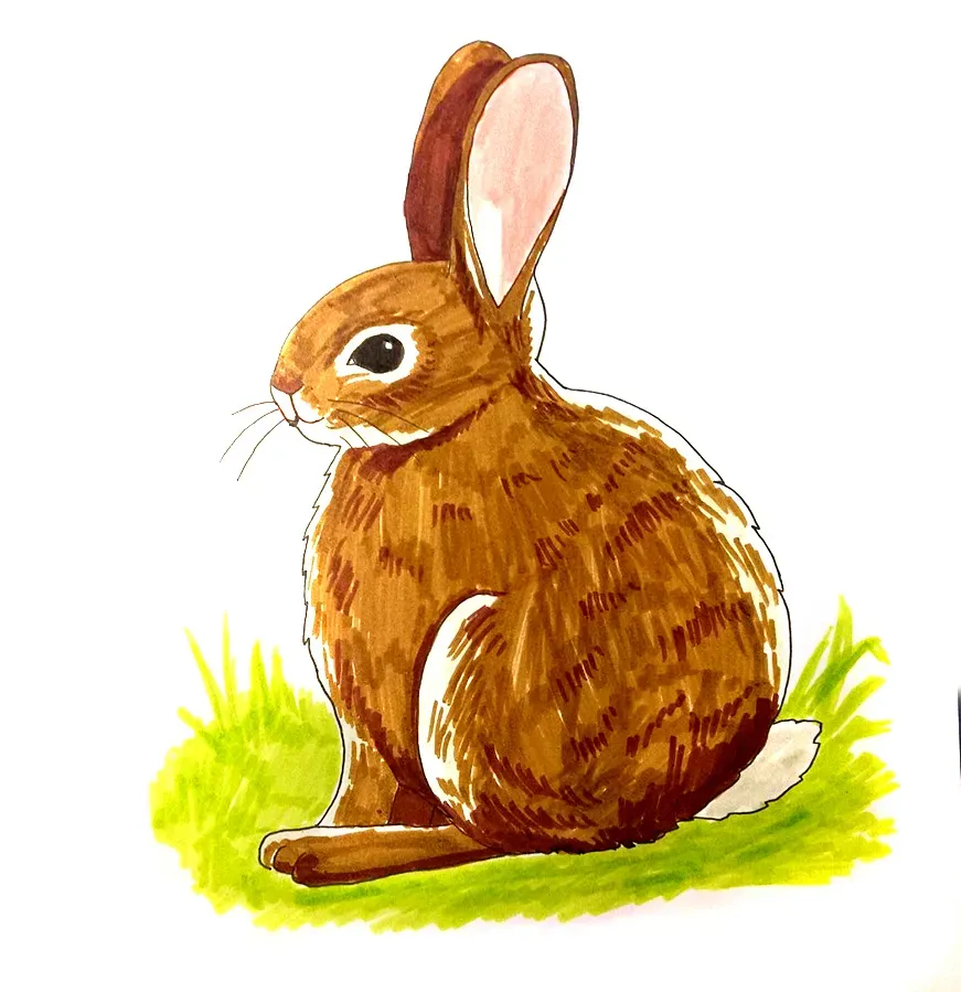 Kaninchen ausmalen Filzstift Schritt 6