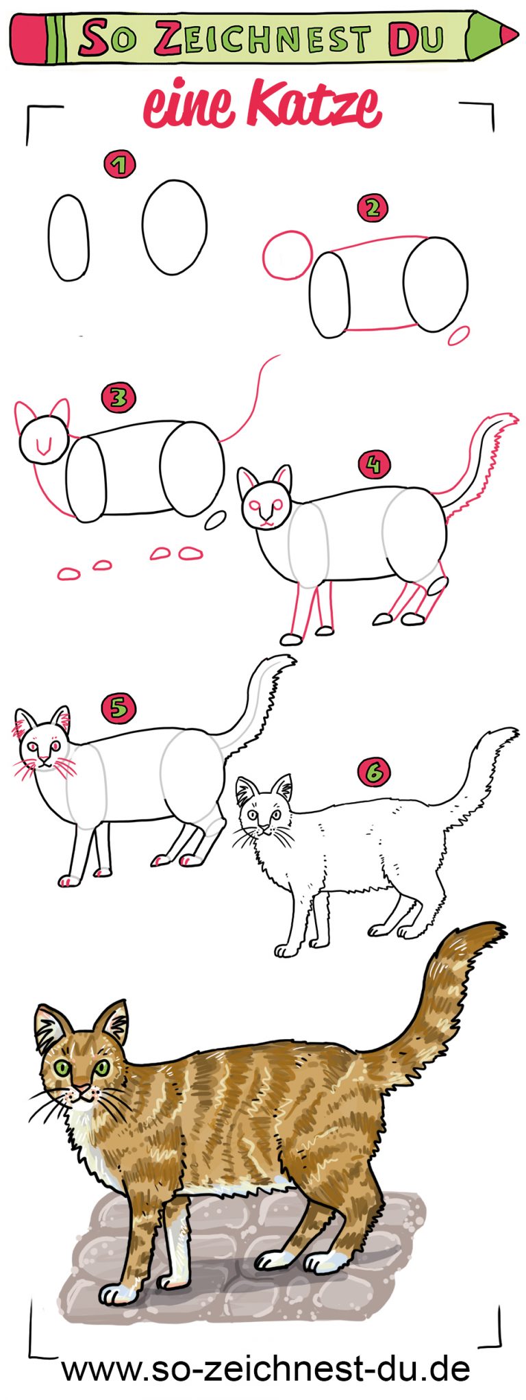 So zeichnest du eine Katze - So zeichnest du