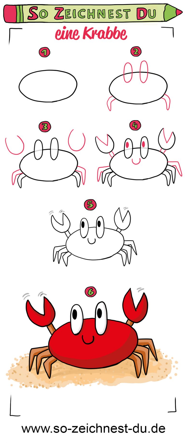 So zeichnest du eine Krabbe (einfach) - So zeichnest du