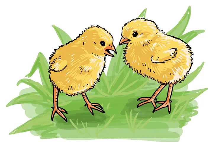 So zeichnest du Küken * Ostern *