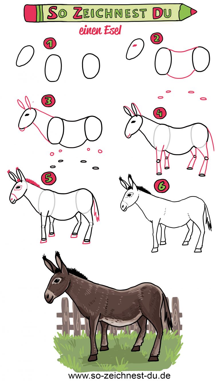 So zeichnest du einen Esel - So zeichnest du