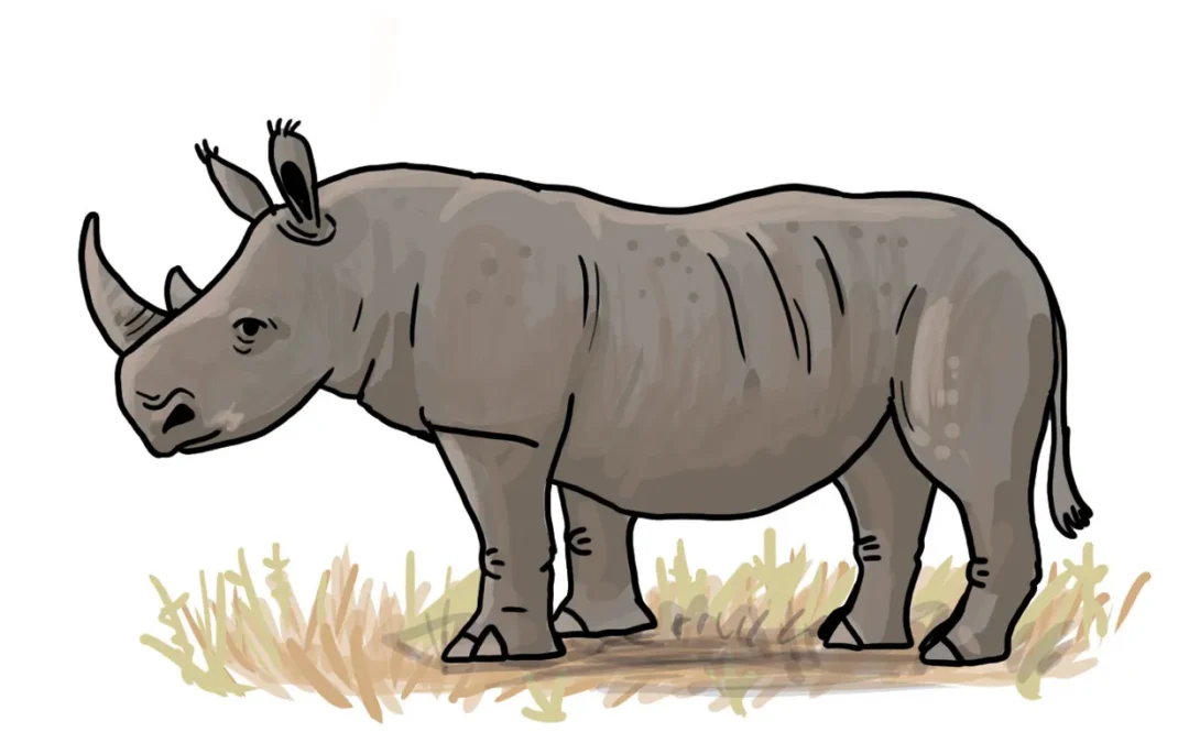 So zeichnest du ein Nashorn