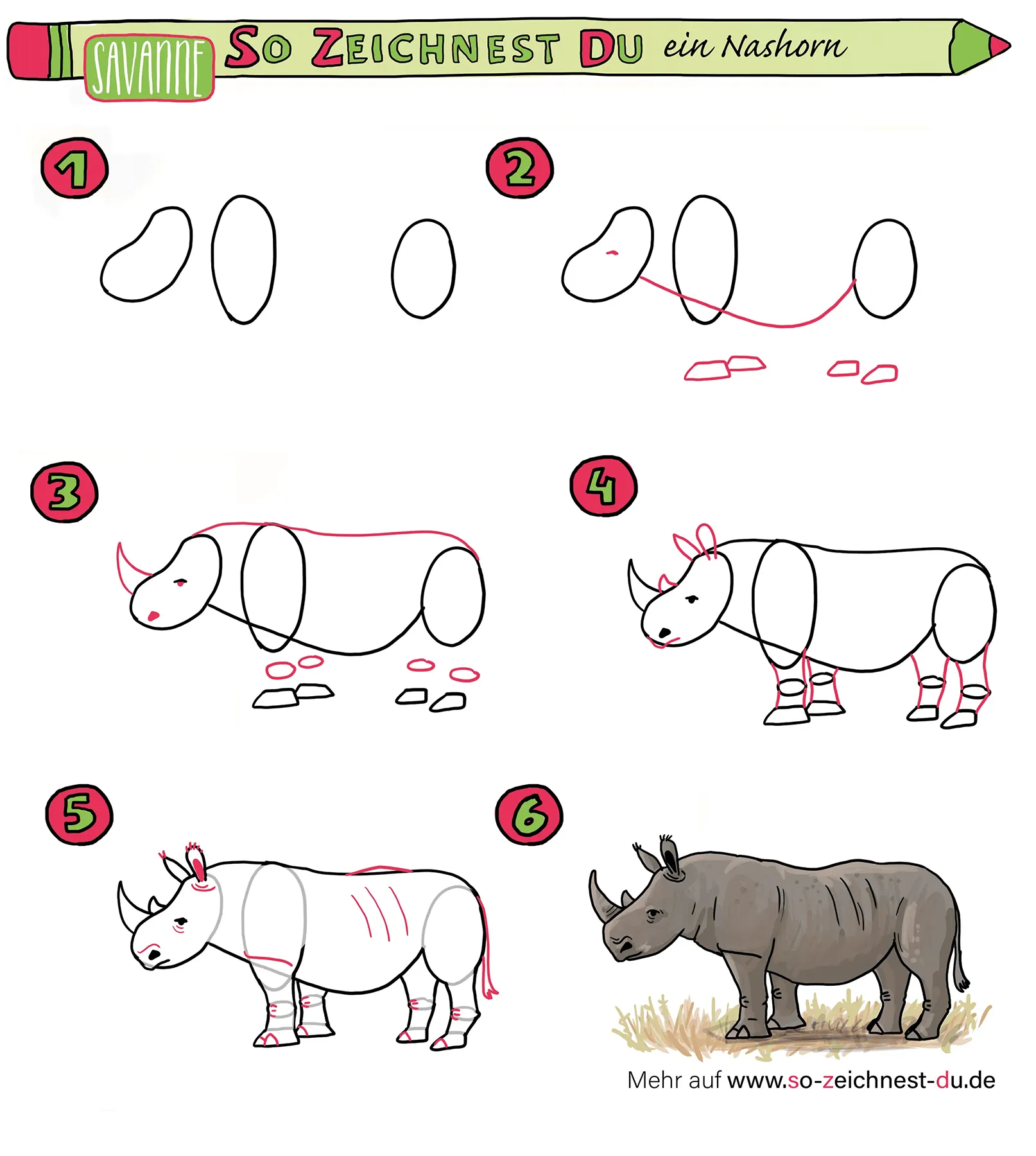 Nashorn zeichnen malen lernen