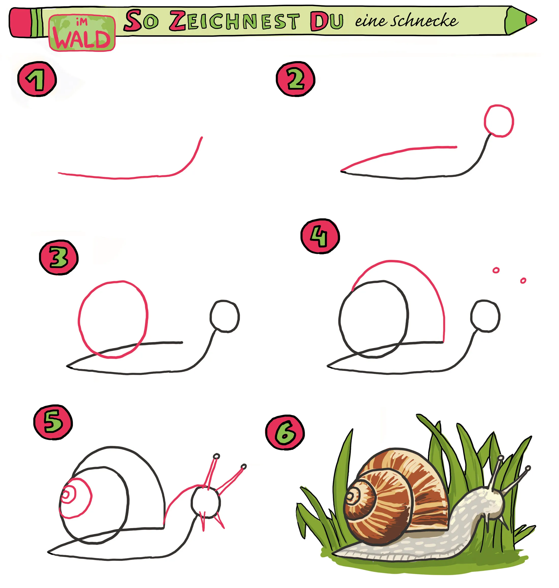 Schnecke zeichnen malen