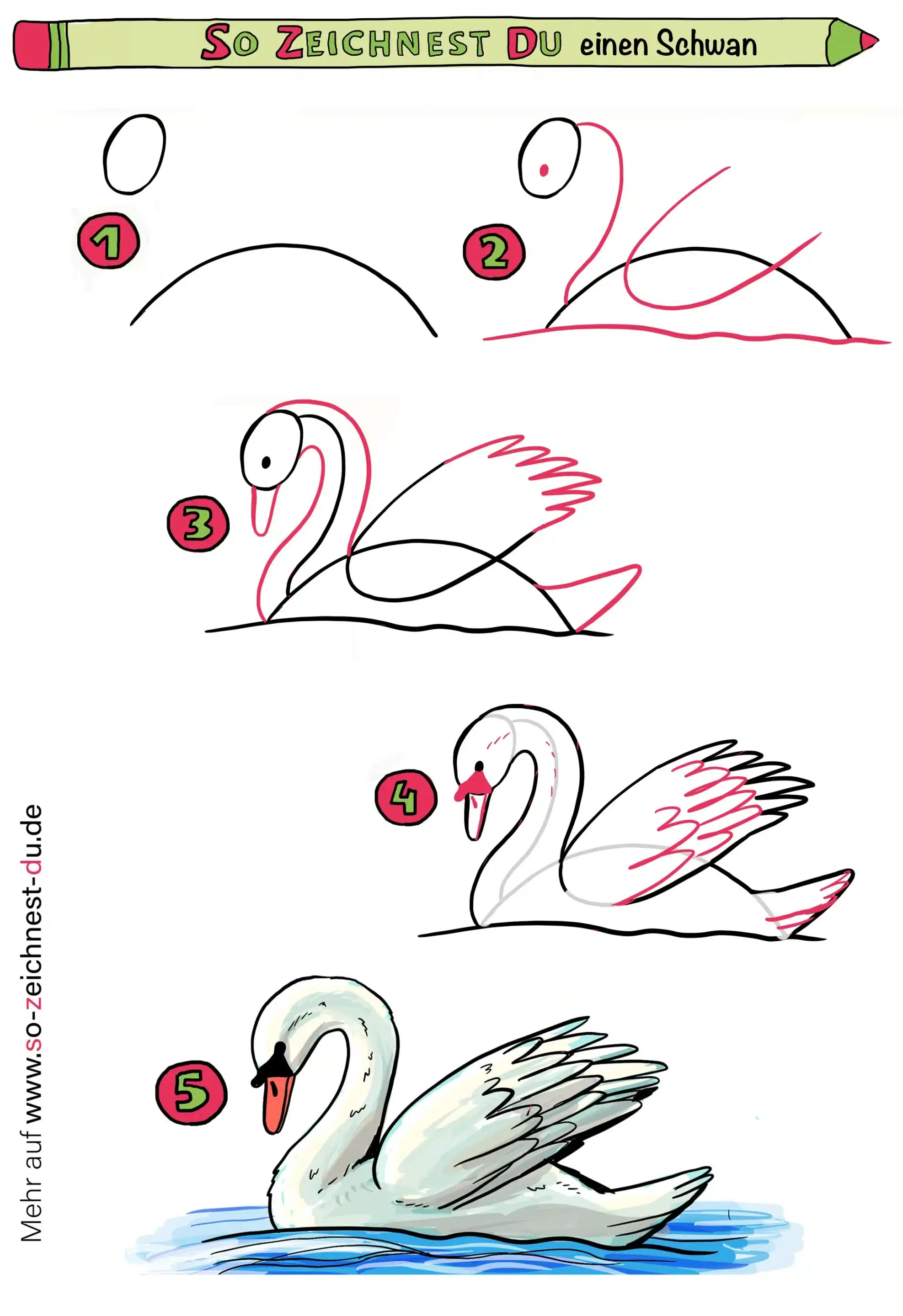 Schwan zeichnen malen Anleitung