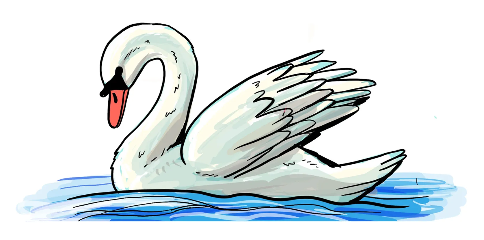 So zeichnest du einen Schwan – Vögel malen