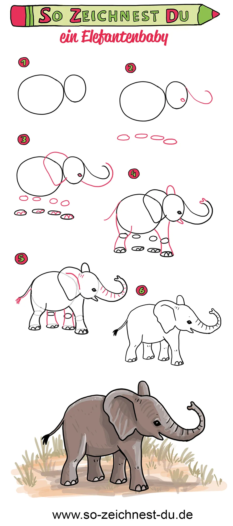So zeichnest du ein Elefantenbaby Elefant Zeichenschule