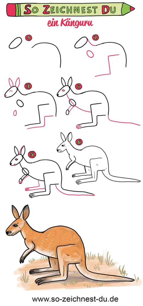 So zeichnest du ein Känguru Zeichenschule Australien Tier