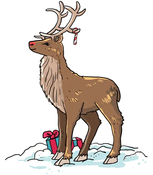 So zeichnest du ein Rentier (einfach) – Malen zu Weihnachten