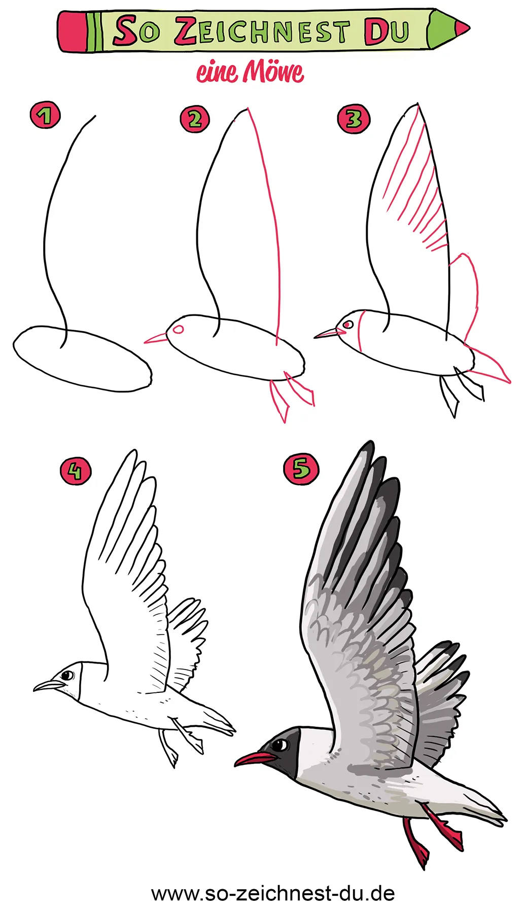 So zeichnest du eine Möwe Zeichenschule Schritt für Schritt Strand Vogel