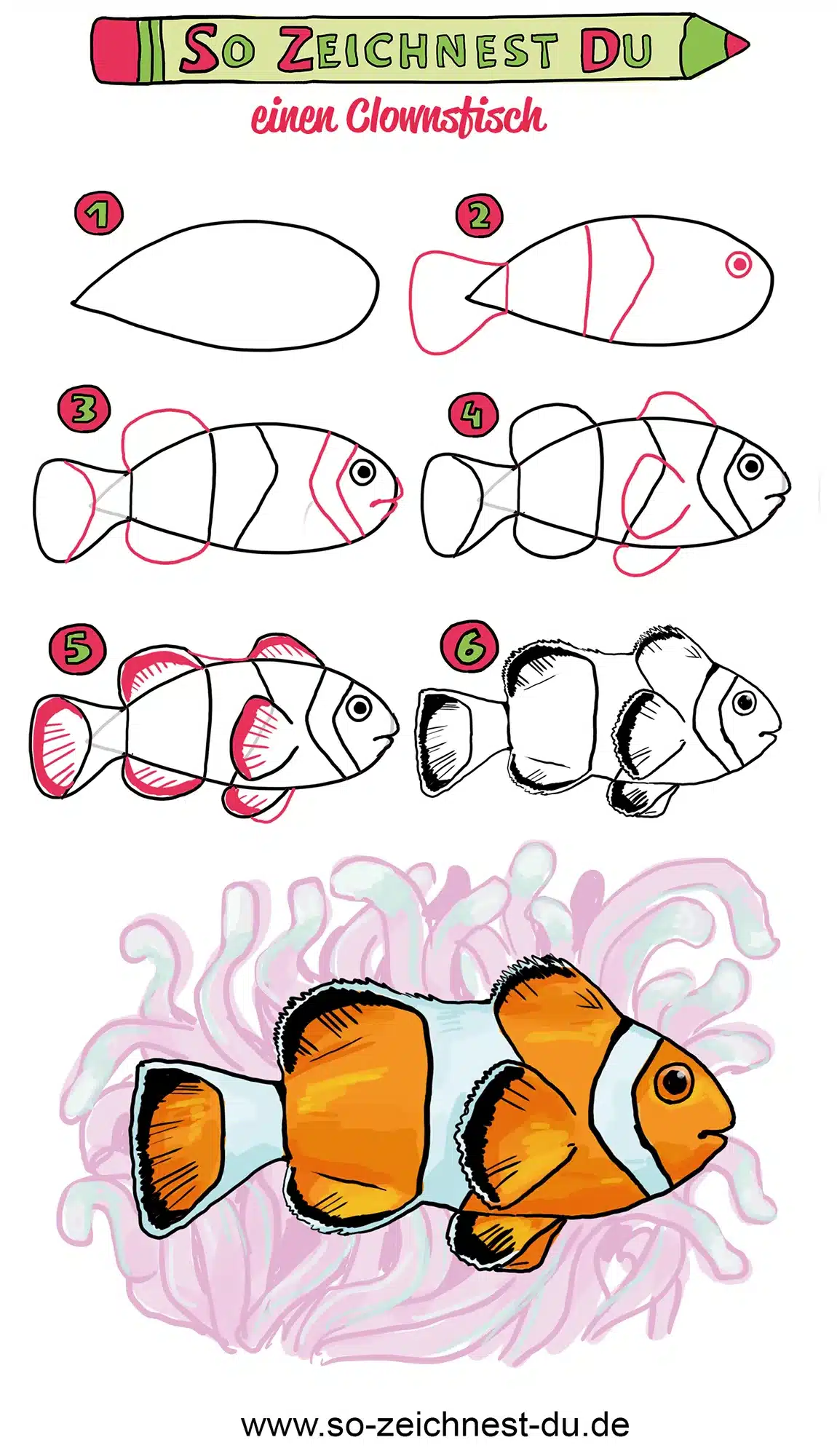 So zeichnest du einen Clownsfisch Nemo Zeichenschule Fisch Meer