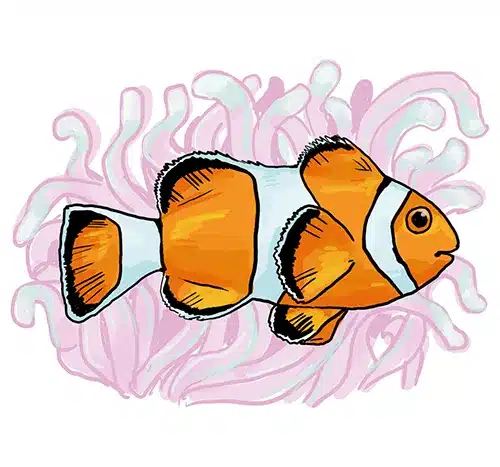 So zeichnest du einen Clownsfisch (wie Nemo)
