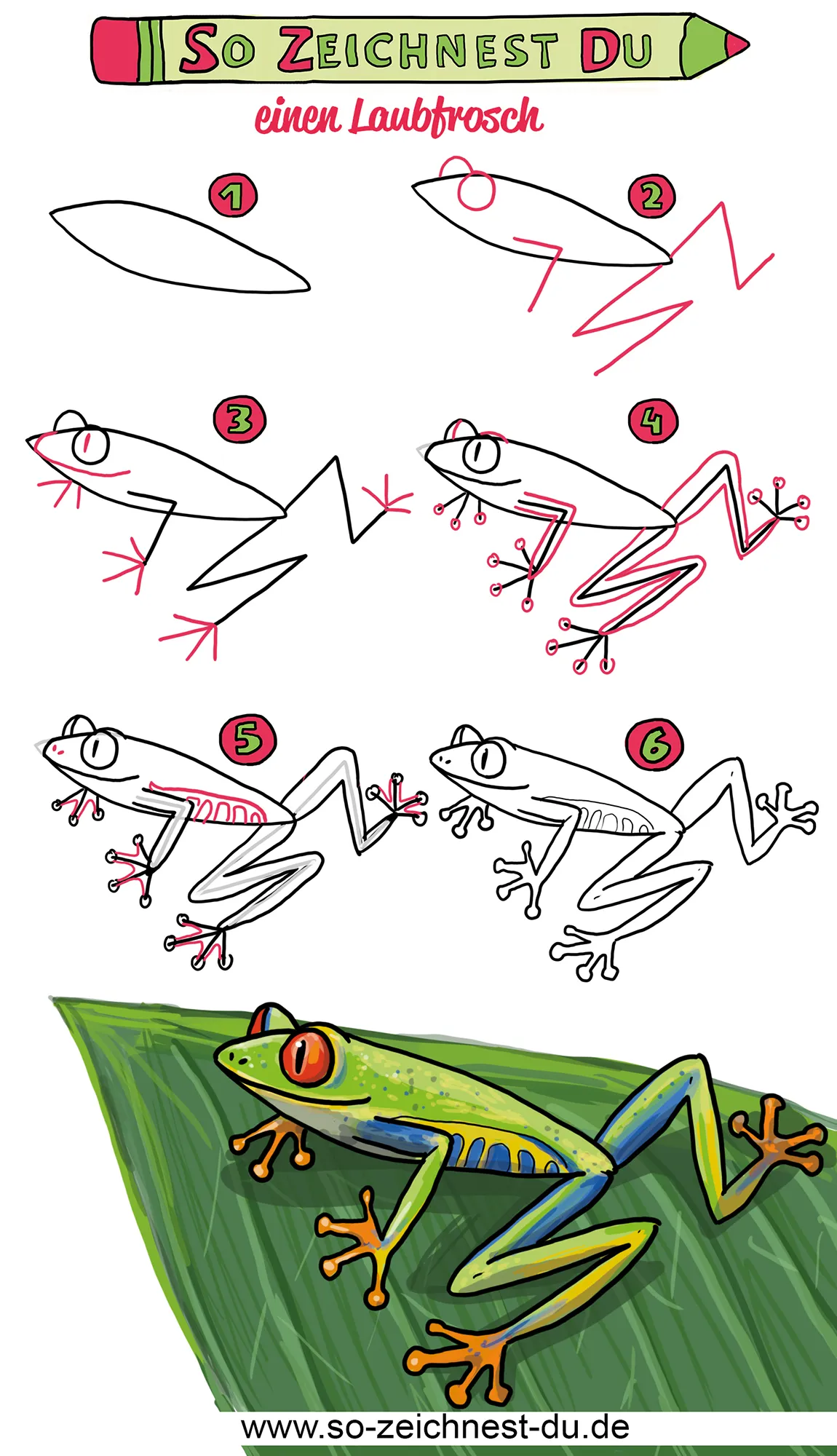 So zeichnest du einen Frosch Laubfrosch Zeichenschule