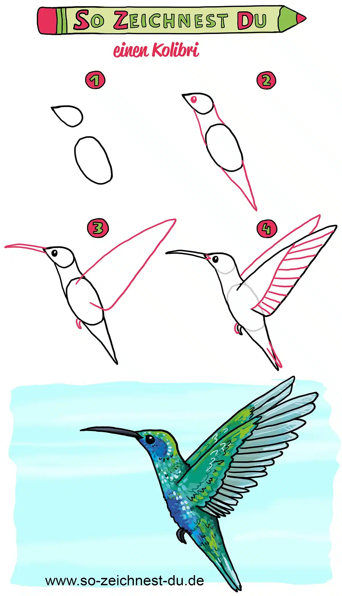 So zeichnest du einen Kolibri Vogel Zeichenschule