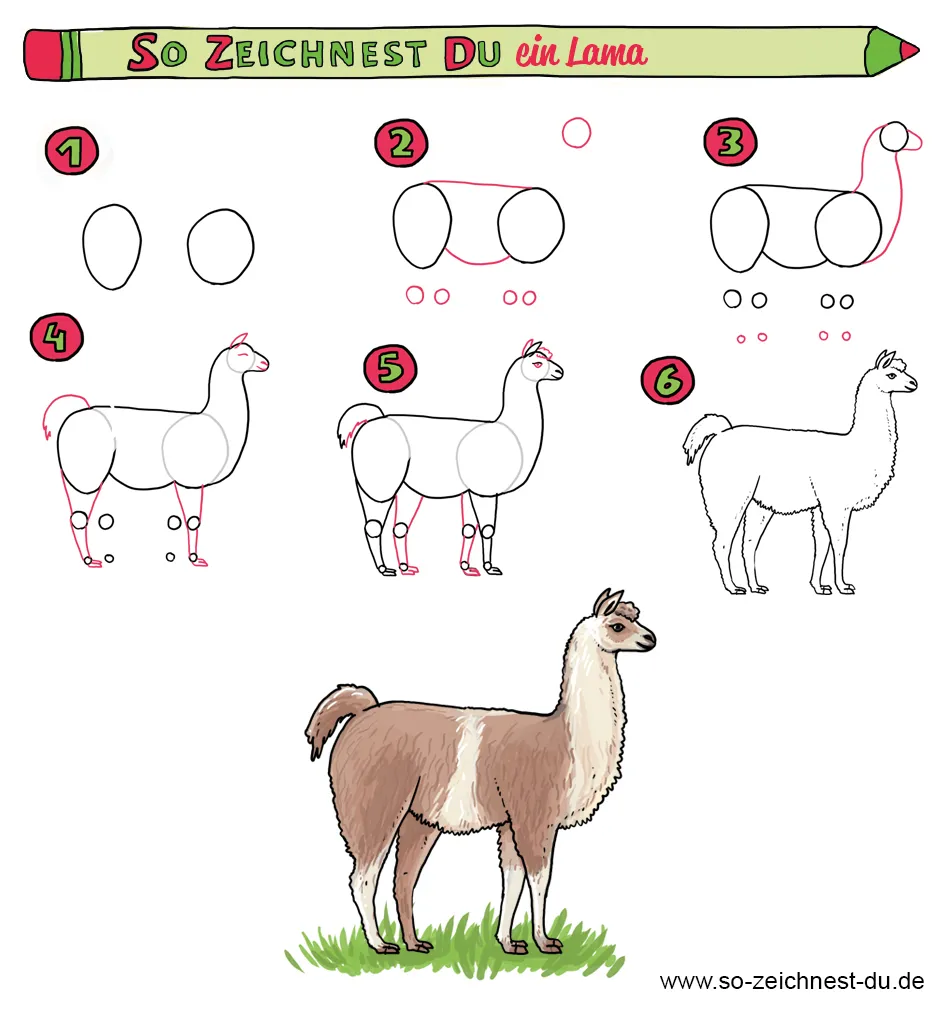 Lama zeichnen lernen Anleitung