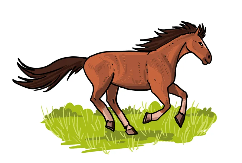 So zeichnest du ein Pferd