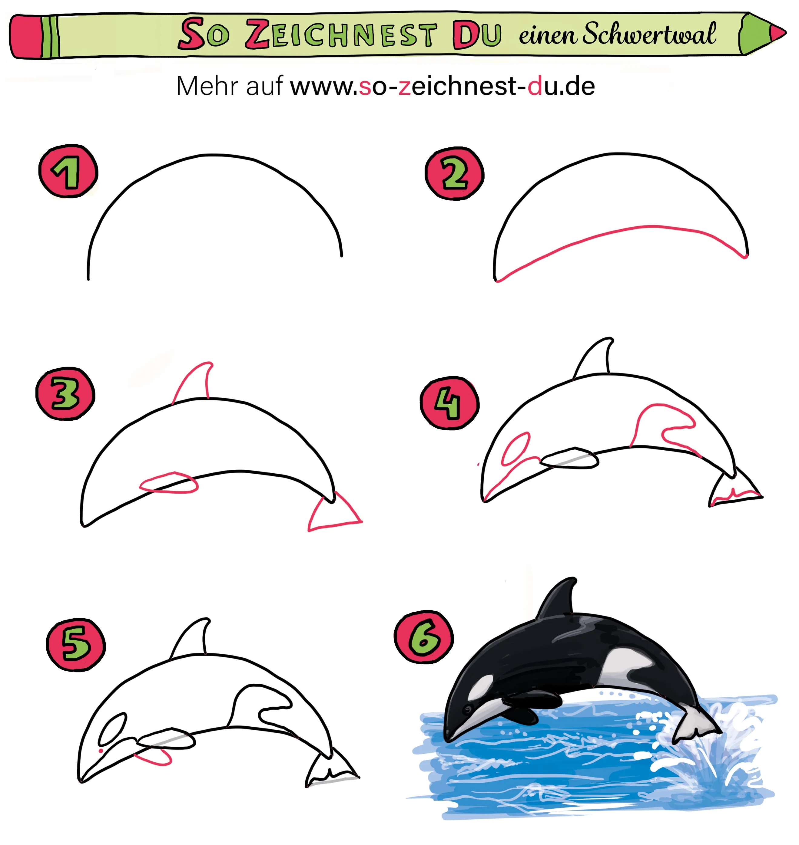 Schwertwal Orca Wal malen zeichnen Anleitung