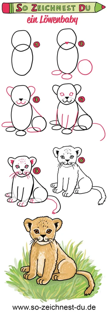 So zeichnest du ein Löwenbaby Baby Löwe Simba Zeichenschule Savanne Afrika Tierkind