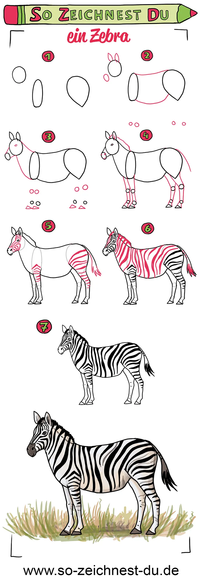 So-zeichnest-du-ein-Zebra