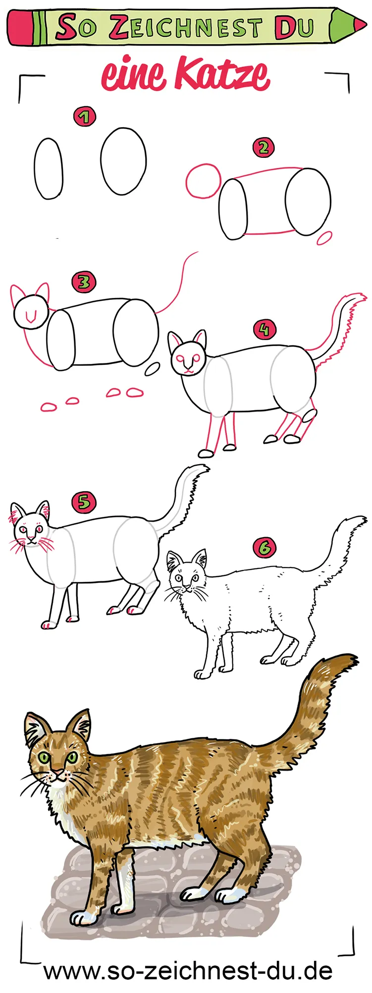 So zeichnest du eine Katze Zeichenschule Haustiere