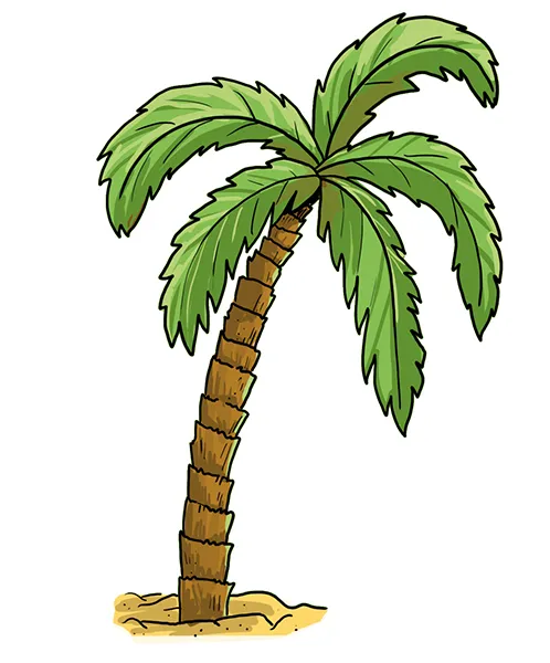 So zeichnest du eine Palme