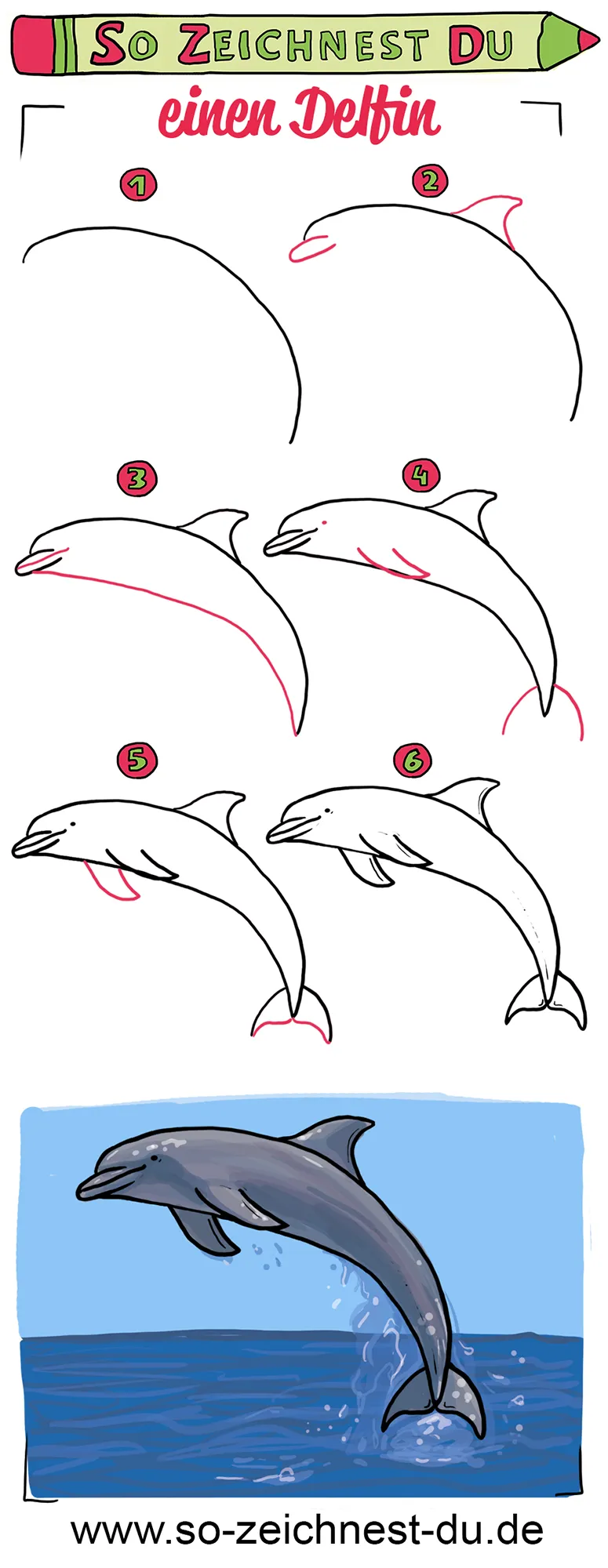 So zeichnest du einen Delfin Zeichenschule Meer