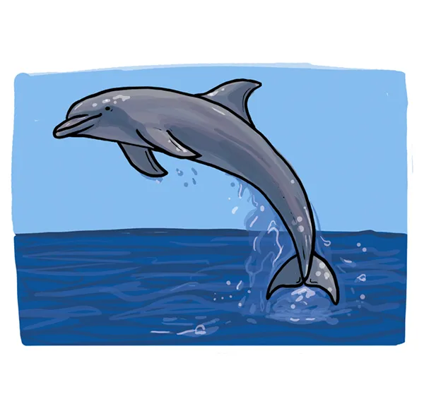 So zeichnest du einen Delfin