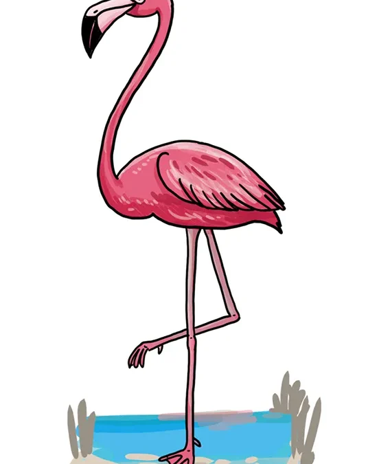 So zeichnest du einen Flamingo