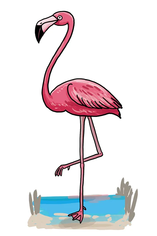 So zeichnest du einen Flamingo