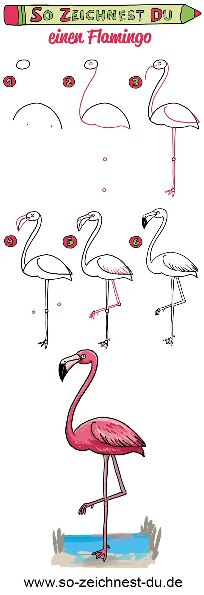 So zeichnest du einen Flamingo Zeichenschule Vogel Exotisch