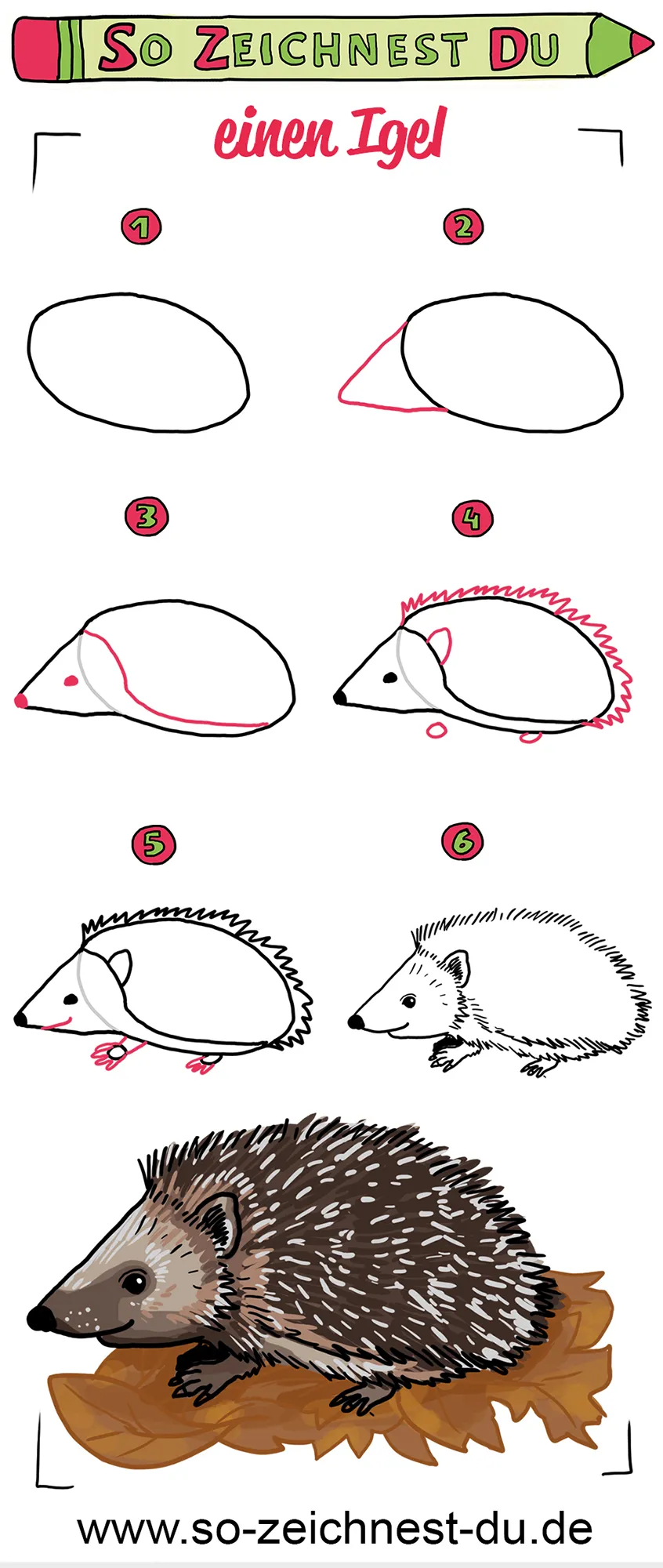 So zeichnest du einen Igel Zeichenschule