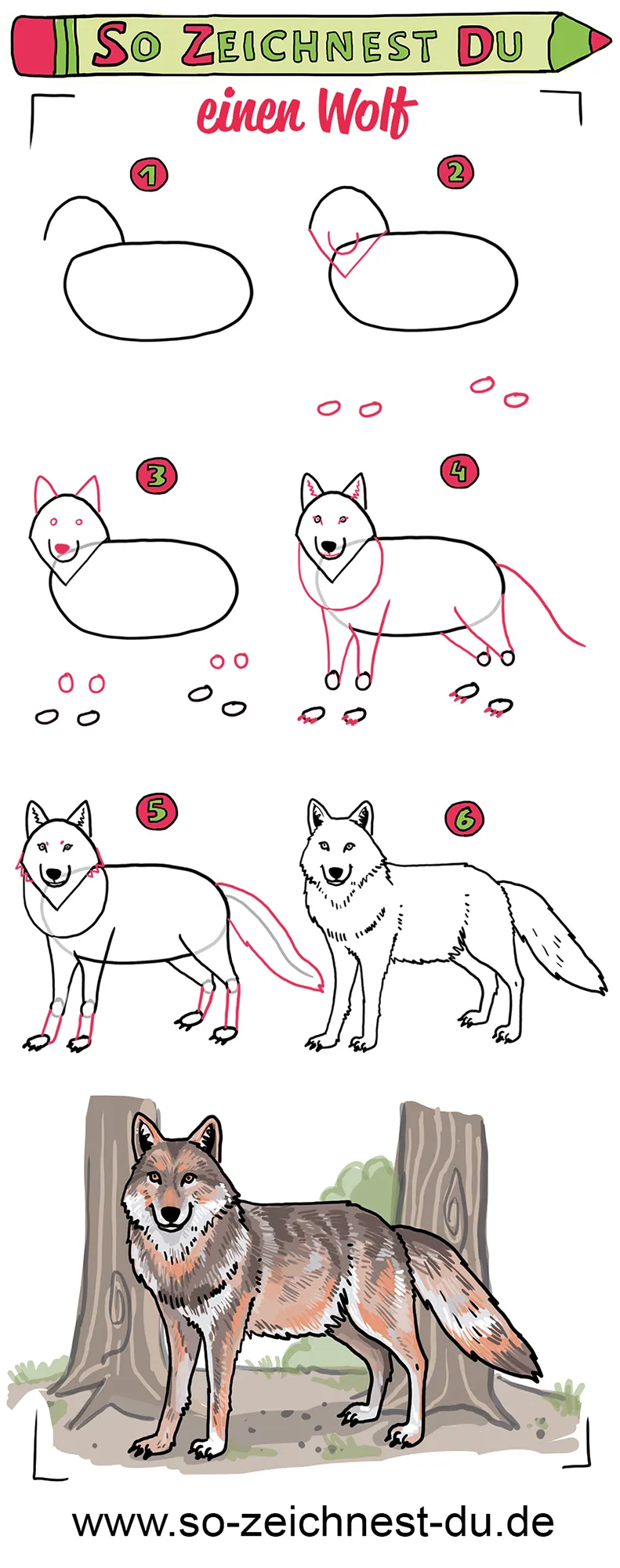 So zeichnest du einen Wolf Zeichenschule Wald Märchen
