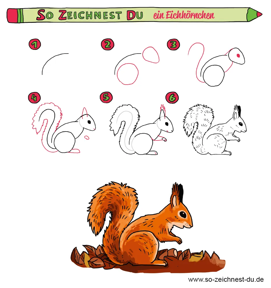 So-zeichnest-du-ein-Eichhörnchen zeichenanleitung